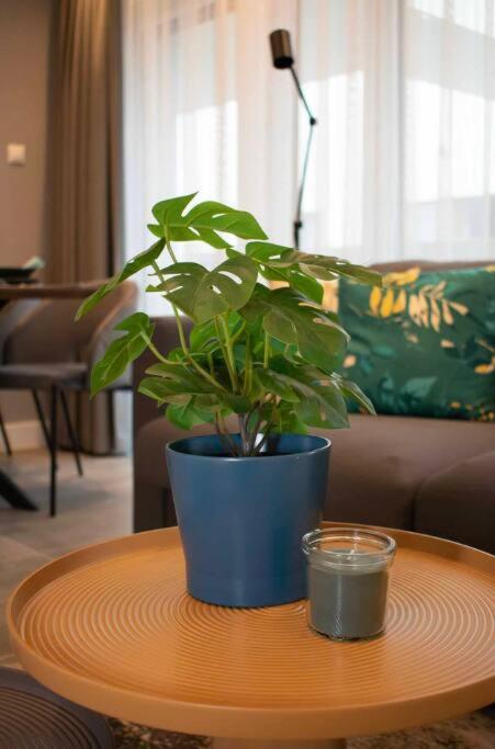 Luxury Cozy 2 Bdr Downtown Apt.2 Budapest Ngoại thất bức ảnh